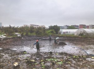 陵川河道鱼塘清淤